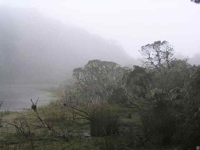 NZ leden-unor 2006 298.jpg